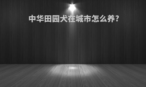 中华田园犬在城市怎么养?