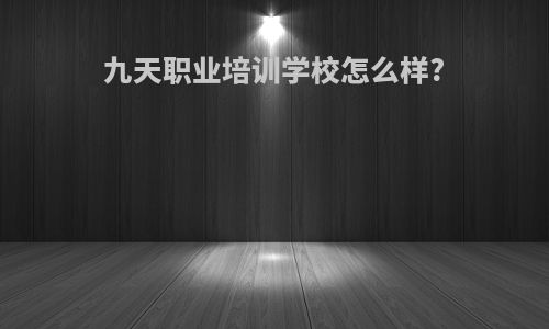 九天职业培训学校怎么样?