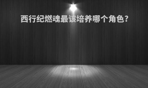 西行纪燃魂最该培养哪个角色?