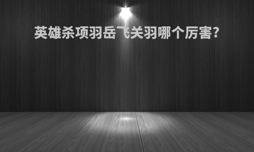 英雄杀项羽岳飞关羽哪个厉害?