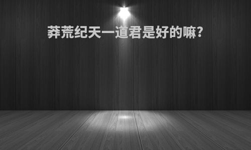 莽荒纪天一道君是好的嘛?
