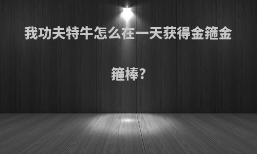 我功夫特牛怎么在一天获得金箍金箍棒?