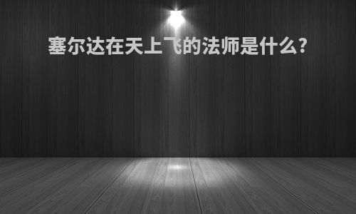 塞尔达在天上飞的法师是什么?