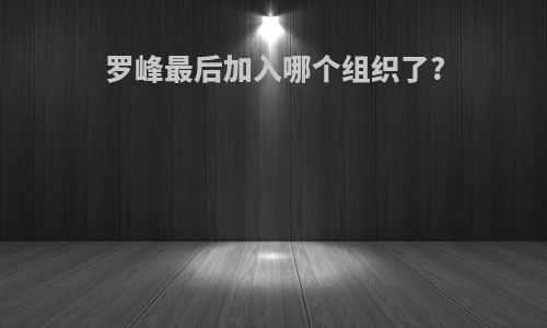罗峰最后加入哪个组织了?