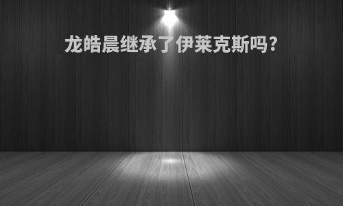 龙皓晨继承了伊莱克斯吗?