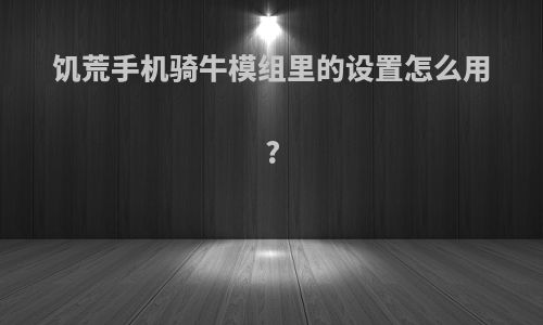 饥荒手机骑牛模组里的设置怎么用?