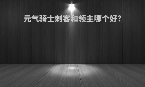 元气骑士刺客和领主哪个好?