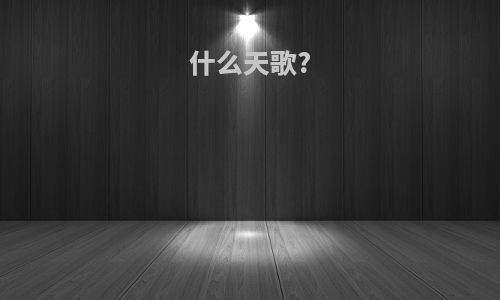 什么天歌?
