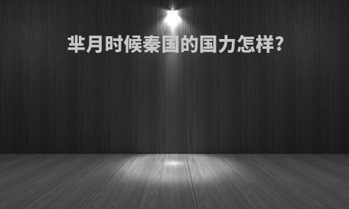 芈月时候秦国的国力怎样?