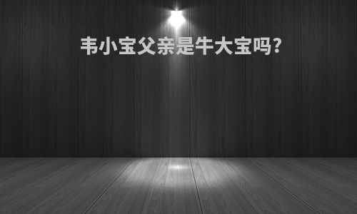 韦小宝父亲是牛大宝吗?