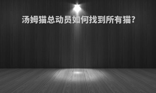 汤姆猫总动员如何找到所有猫?