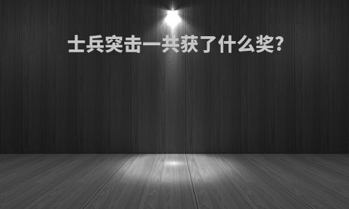 士兵突击一共获了什么奖?