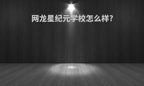 网龙星纪元学校怎么样?