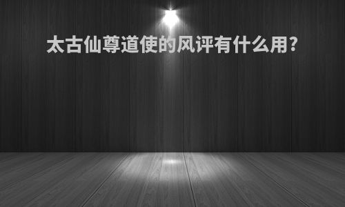 太古仙尊道使的风评有什么用?