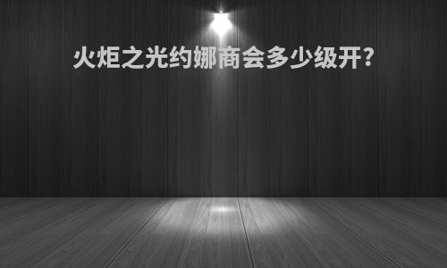 火炬之光约娜商会多少级开?