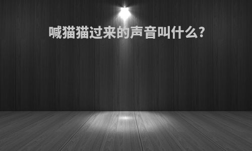 喊猫猫过来的声音叫什么?