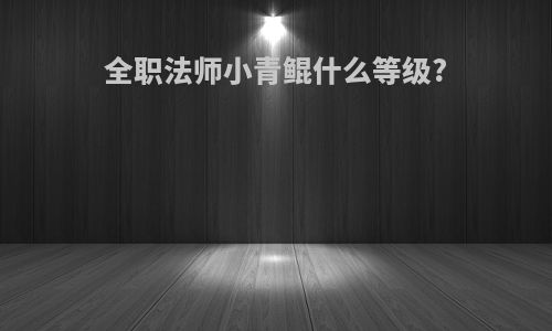 全职法师小青鲲什么等级?
