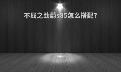 不屈之劲蔚s85怎么搭配?