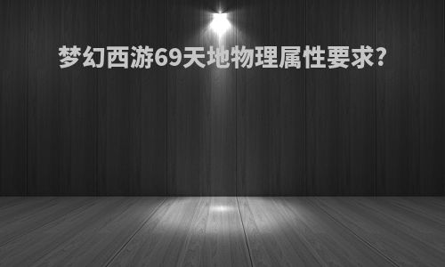 梦幻西游69天地物理属性要求?