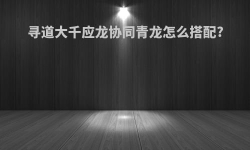 寻道大千应龙协同青龙怎么搭配?