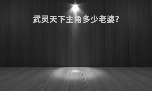 武灵天下主角多少老婆?