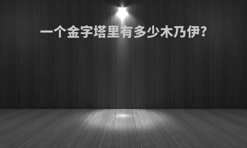 一个金字塔里有多少木乃伊?