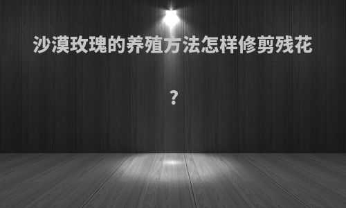 沙漠玫瑰的养殖方法怎样修剪残花?