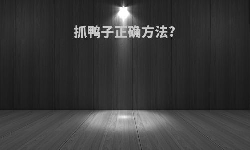 抓鸭子正确方法?