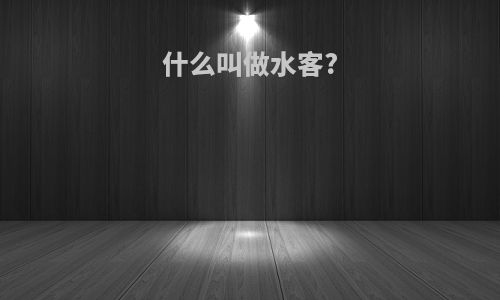 什么叫做水客?
