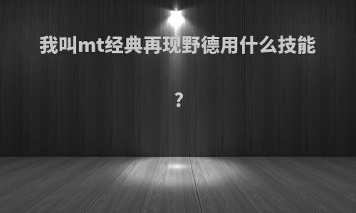 我叫mt经典再现野德用什么技能?