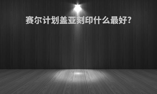 赛尔计划盖亚刻印什么最好?