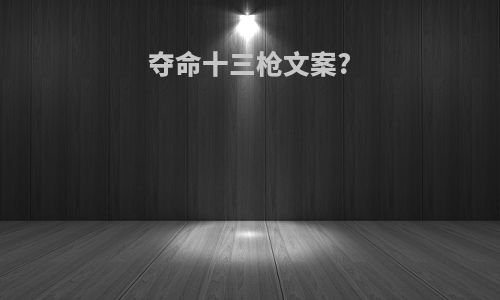 夺命十三枪文案?