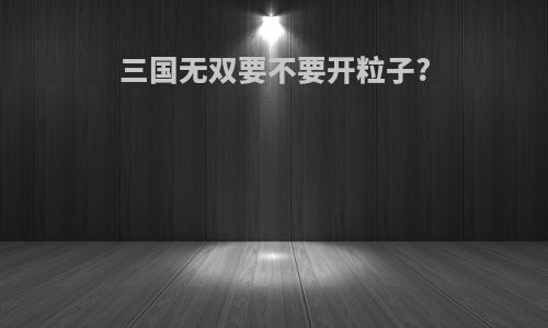 三国无双要不要开粒子?