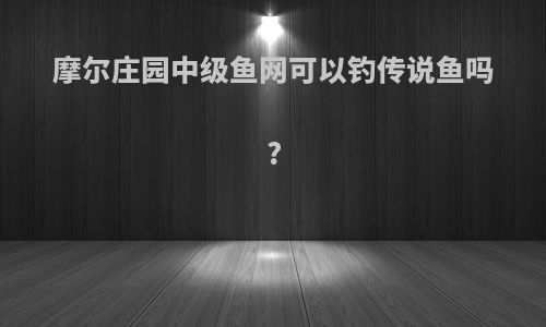 摩尔庄园中级鱼网可以钓传说鱼吗?