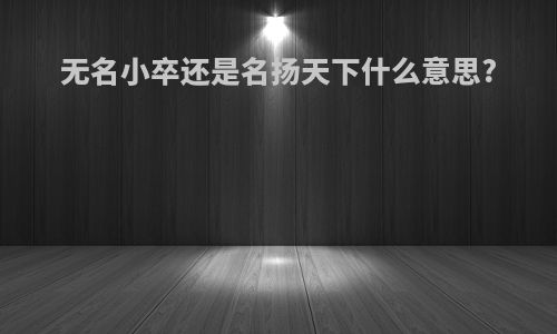 无名小卒还是名扬天下什么意思?