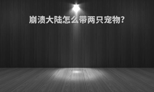 崩溃大陆怎么带两只宠物?