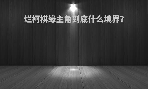 烂柯棋缘主角到底什么境界?