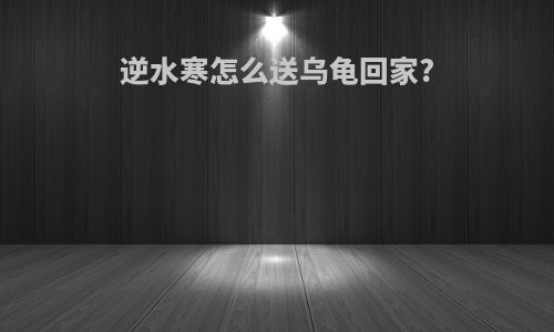 逆水寒怎么送乌龟回家?