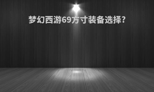 梦幻西游69方寸装备选择?