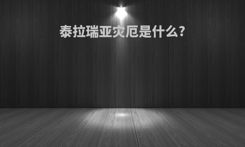 泰拉瑞亚灾厄是什么?