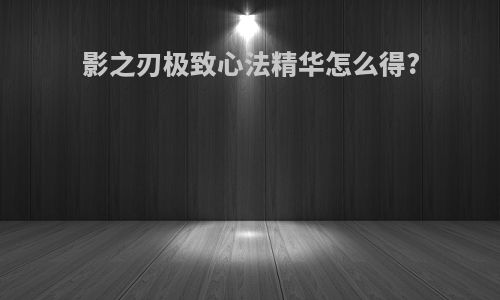 影之刃极致心法精华怎么得?