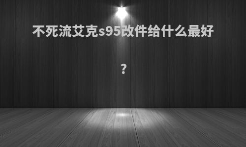 不死流艾克s95改件给什么最好?