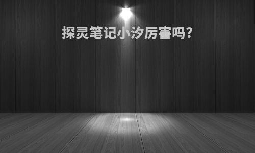 探灵笔记小汐厉害吗?