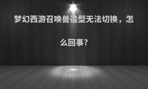 梦幻西游召唤兽造型无法切换，怎么回事?