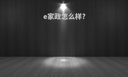 e家政怎么样?