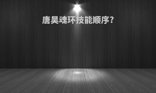 唐昊魂环技能顺序?