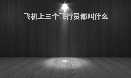 飞机上三个飞行员都叫什么